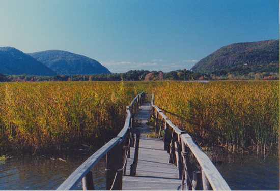 Photo of the Boardwalk at Constitution Marsh by John Hulsey